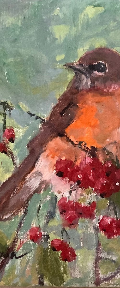 Robin by Lia Matevosyan Haselton