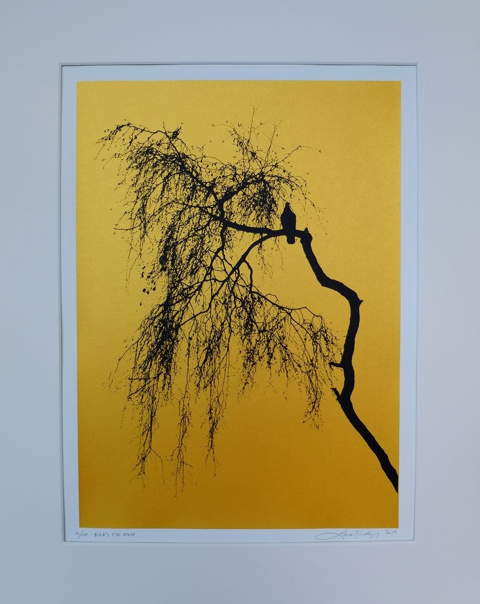 Animal Screenprint By Lene Bladbjerg, 16 X 20", Bird