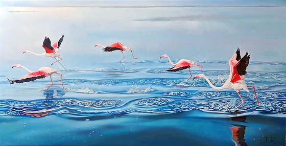 WING-SURFERS (PINK FLAMINGOES)