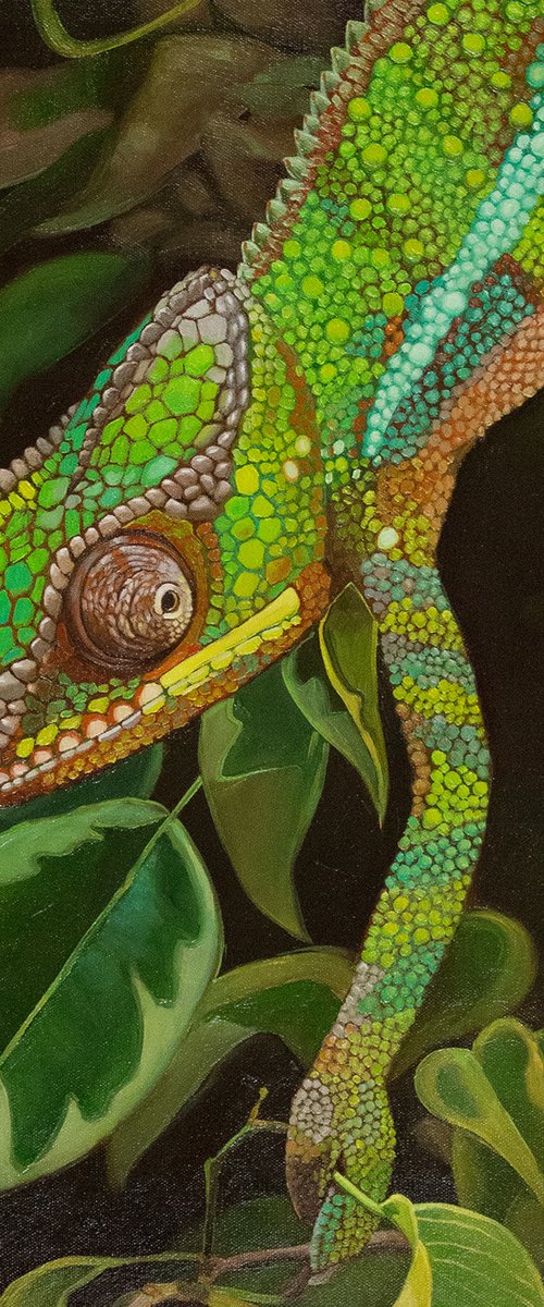 Chameleon portrait by Yue Zeng