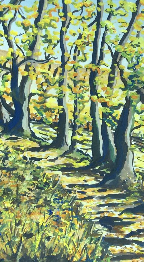 Autumn in Dunsford Woods by Lucy Smerdon