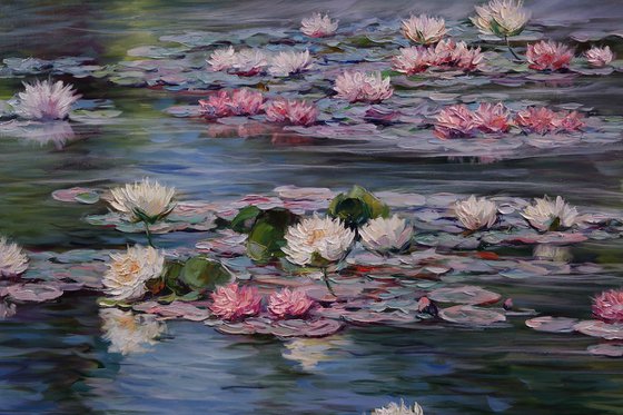 "Water lilies"