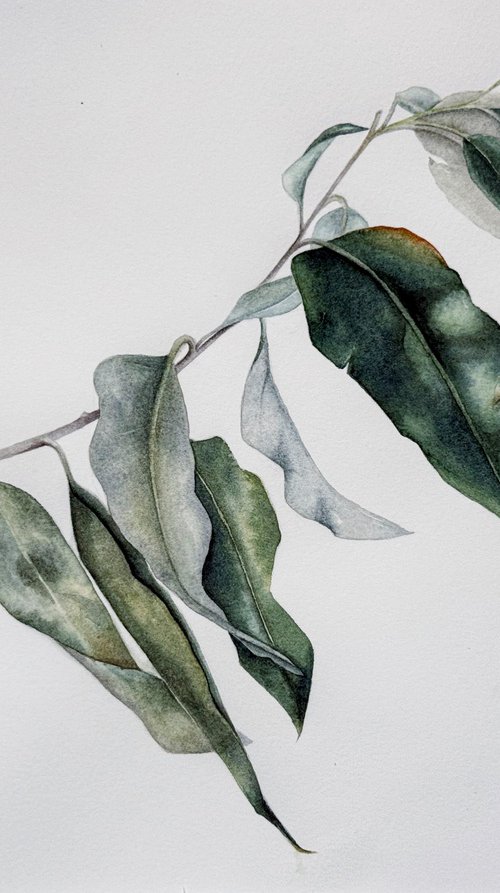 Green twig by Julia Gorislavska