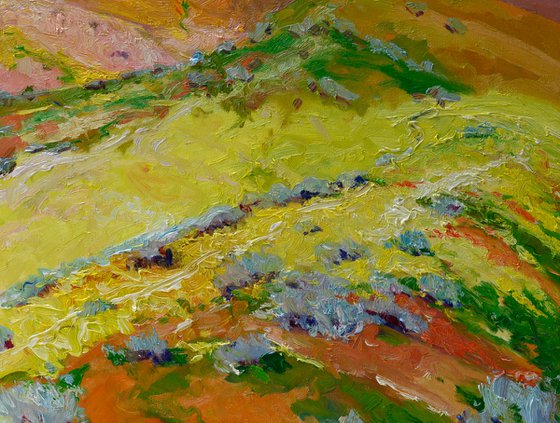 Yellow Blooming Hills. Spring in California