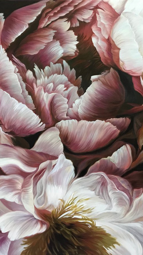 Peonies on a dark background by Elena