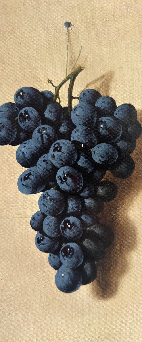 Black Grapes II by Konstantin Javakhyan