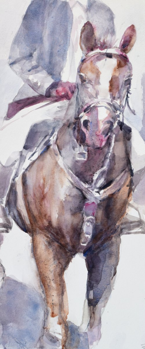 Raider and  horse by Goran Žigolić Watercolors