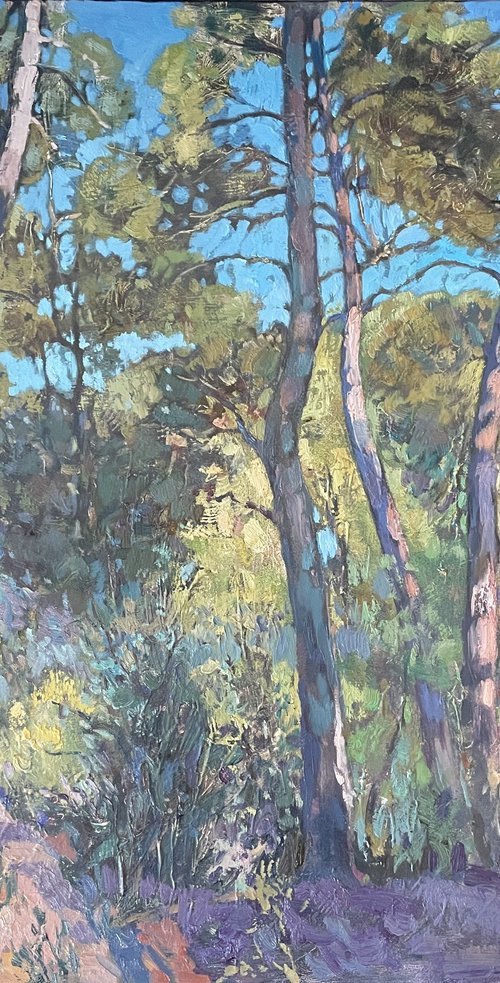 Sunlit  pines by Nadezda Stupina