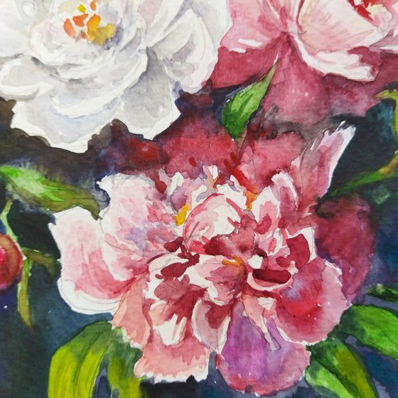 Peonies flowers