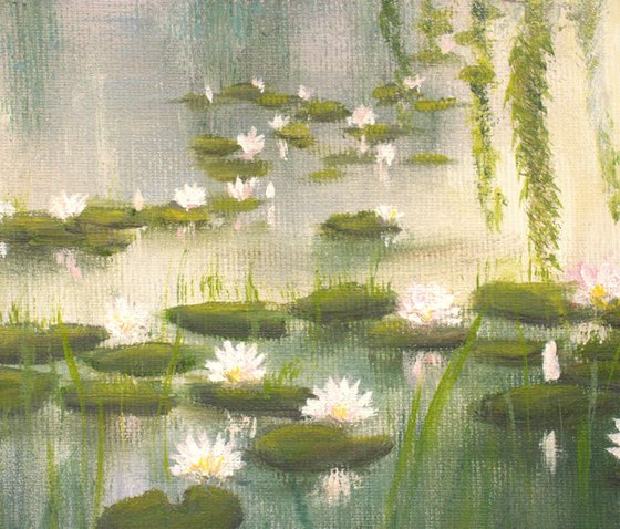 Lily pond