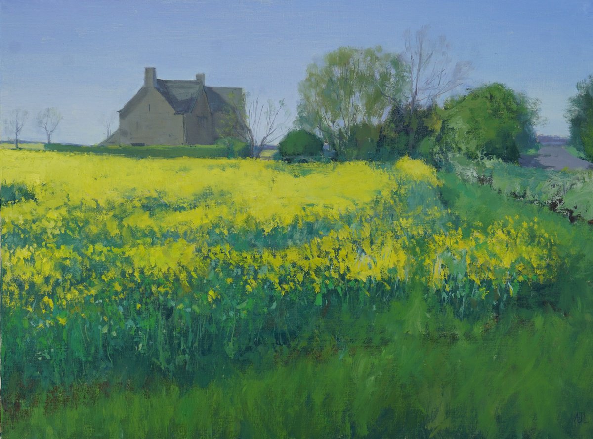 Impressionistic Landscape Oil Painting By Alex James Long, 24 X 18, Edge Of A Rapeseed Field, Original Artwork