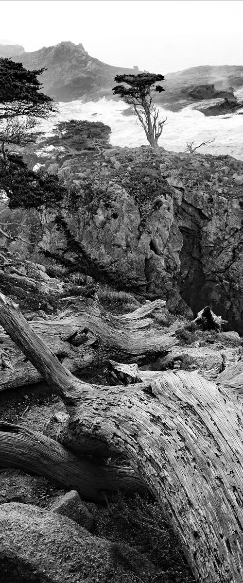 Pinnacle Cove  - Point Lobos by Stephen Hodgetts Photography