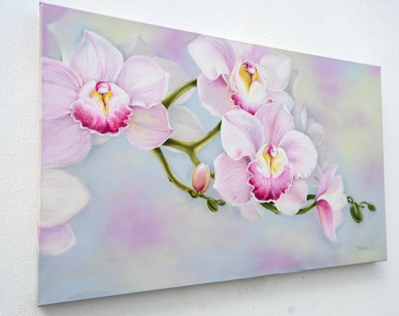 Orchids