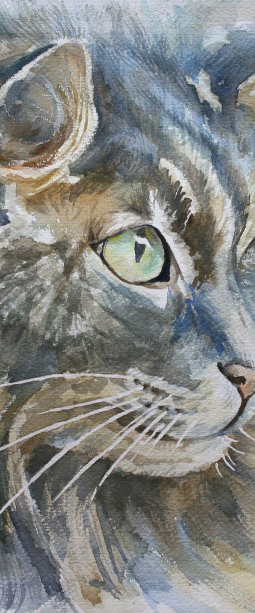 Original watercolor painting Cat, pet portraite, animal, pet sympathy, animal nursery, watercolor cat, wall art, wall decor, pat lover gift by Alina Shmygol