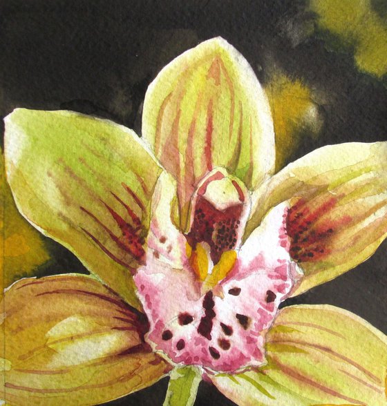 a painting a day #44 " spring cymbidium orchid "