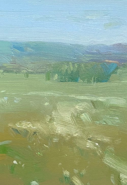 Meadow, Original oil painting, Handmade artwork, One of a kind by Vahe Yeremyan