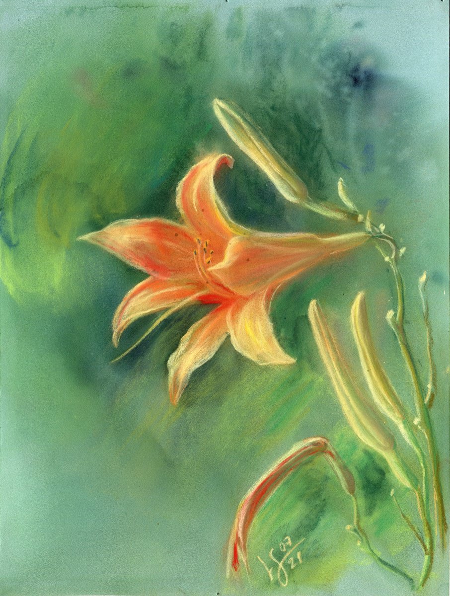 Orange lily on a green background. Pastel painting on cardboard. by SVITLANA LAGUTINA