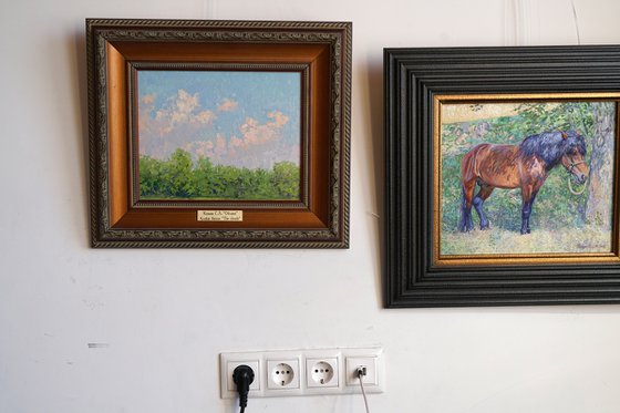 Clouds. Botanical Garden