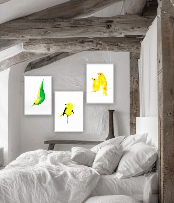 Birds