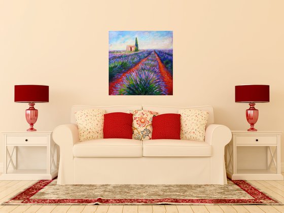 Lavender Fields