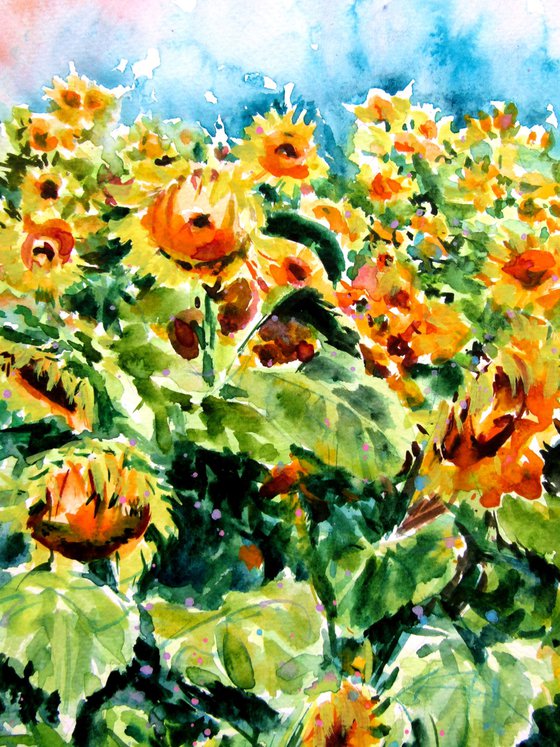 Sunflowers field