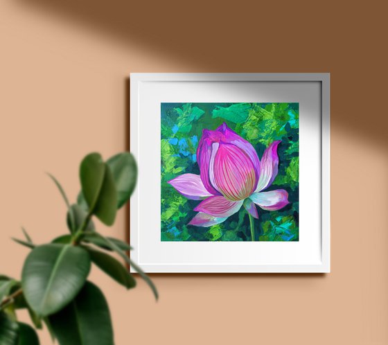 Lotus lily