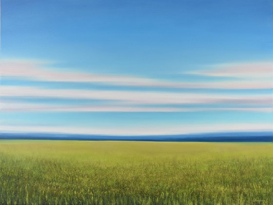 Lush Green Field - Blue Sky Landscape