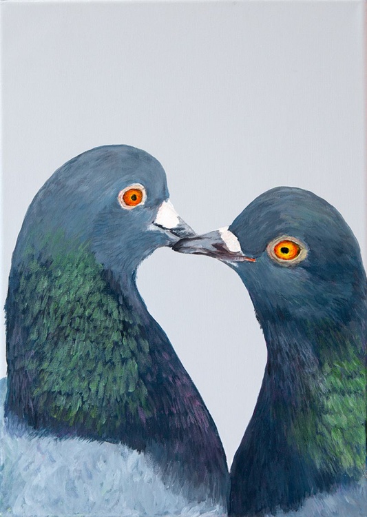 Pigeon Pair Acrylic Painting By Amy Devlin Artfinder