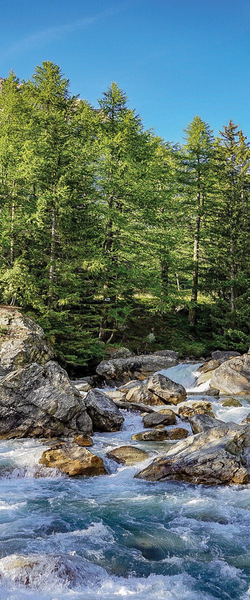 NATURE IN VAL VENY by Fabio Accorrà