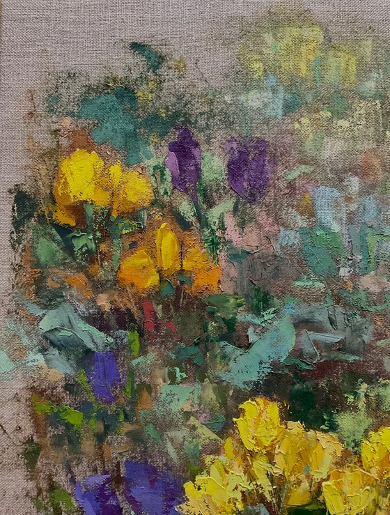CROCUSES