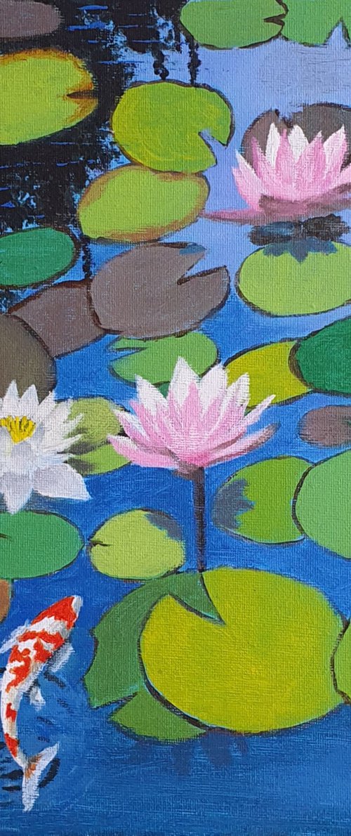 Water Lilies in Pond by Asif Rasheed