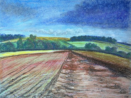 Norfolk Fields - Landscape Art by Catherine Winget