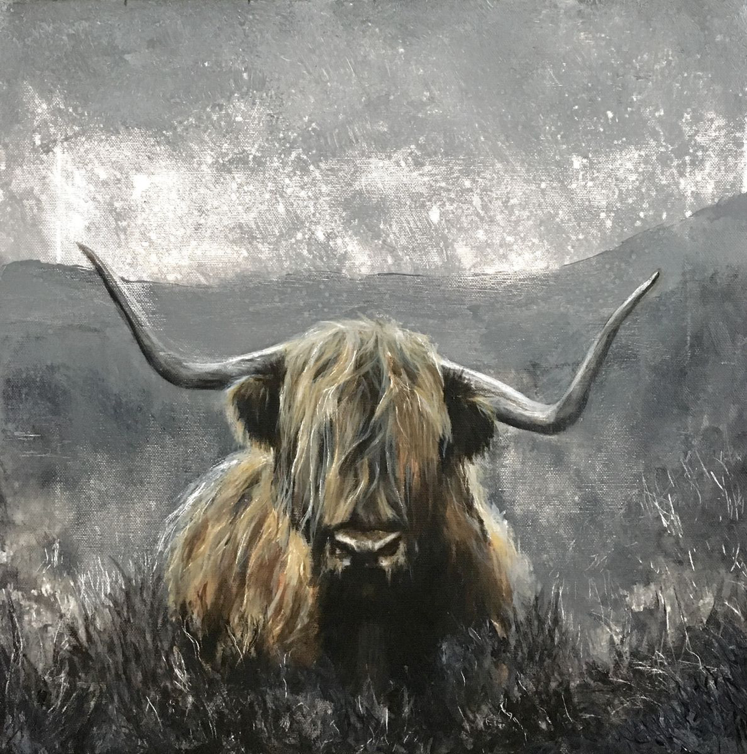 Highland Cow Art Grey Highlands Artfinder