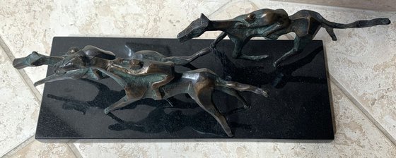 Horse race