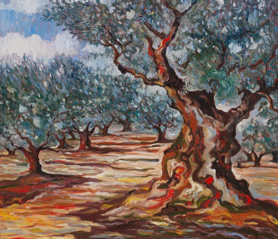 Olive Grove