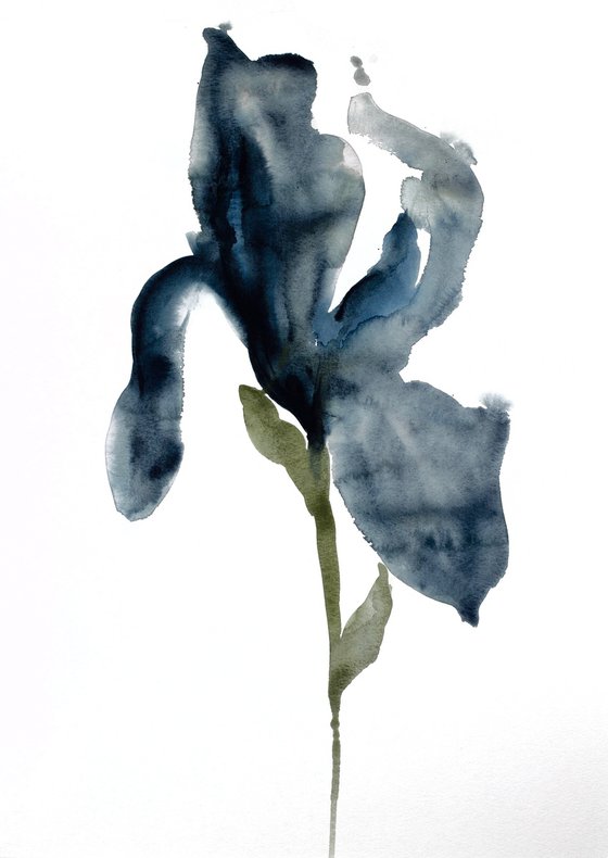 Iris No. 45