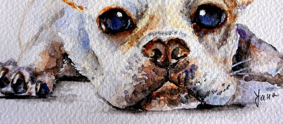 Cute Watercolor French Bulldog _ ORIGINAL