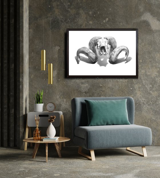 "Pam Skull"