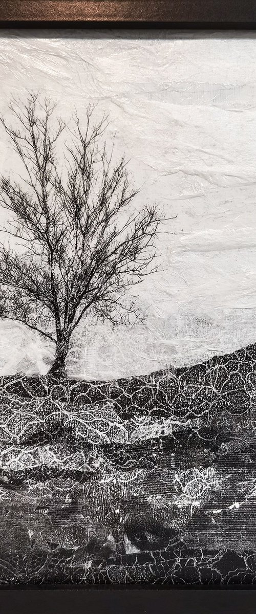 Solitary by Roseanne Jones