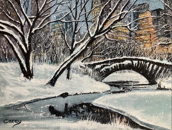 Central Park Winter