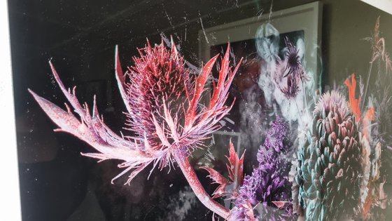 Bouquet x [Studio Clearance]