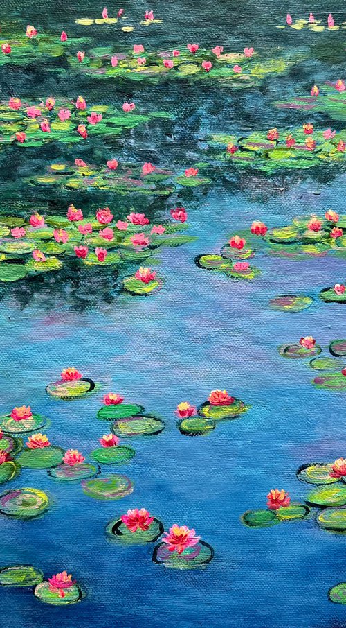 Water lilies garden by Amita Dand