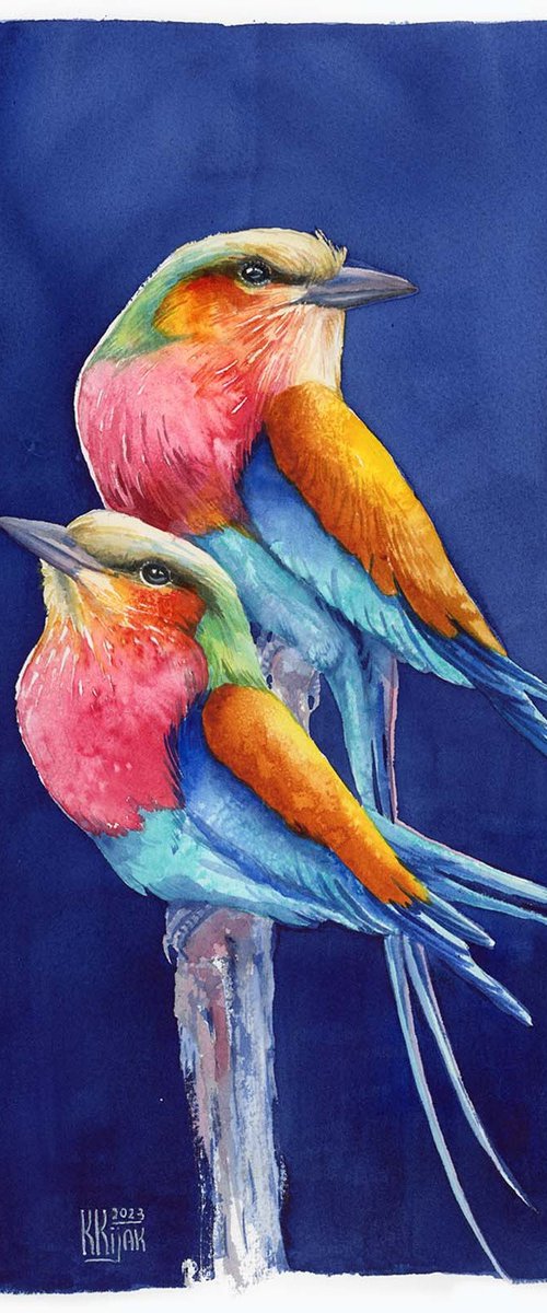 Lilac-breasted roller by Karolina Kijak