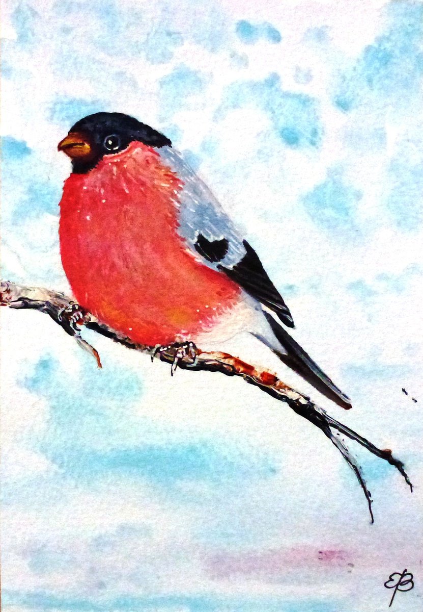 Happy winter - Bullfinch II by Lena Smirnova