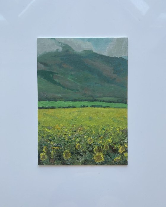Sunflower Valley
