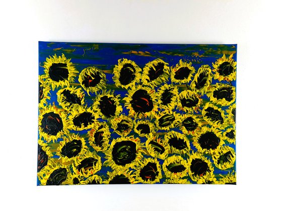 Blooming sunflowers 6