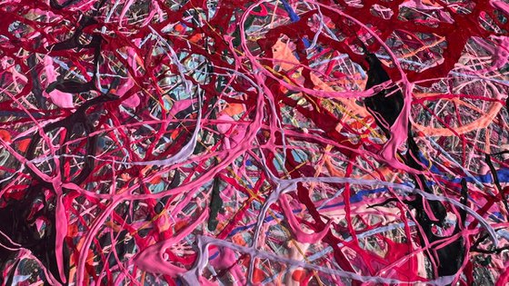 A Better Place of Dreams