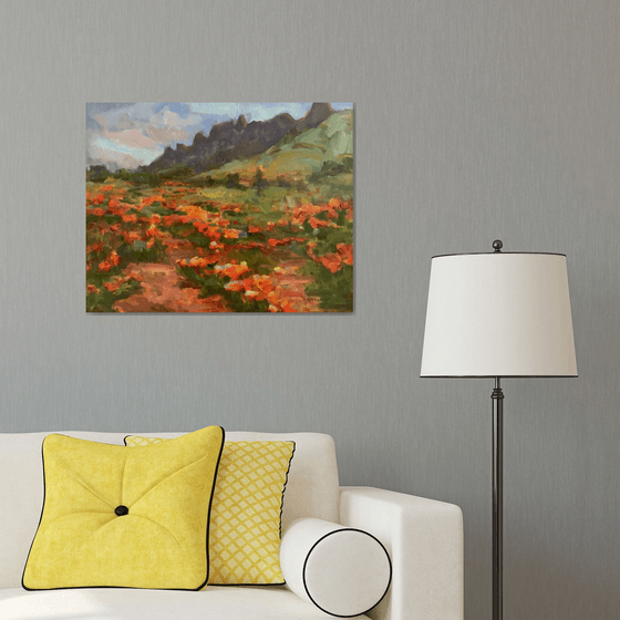Desert in Spring