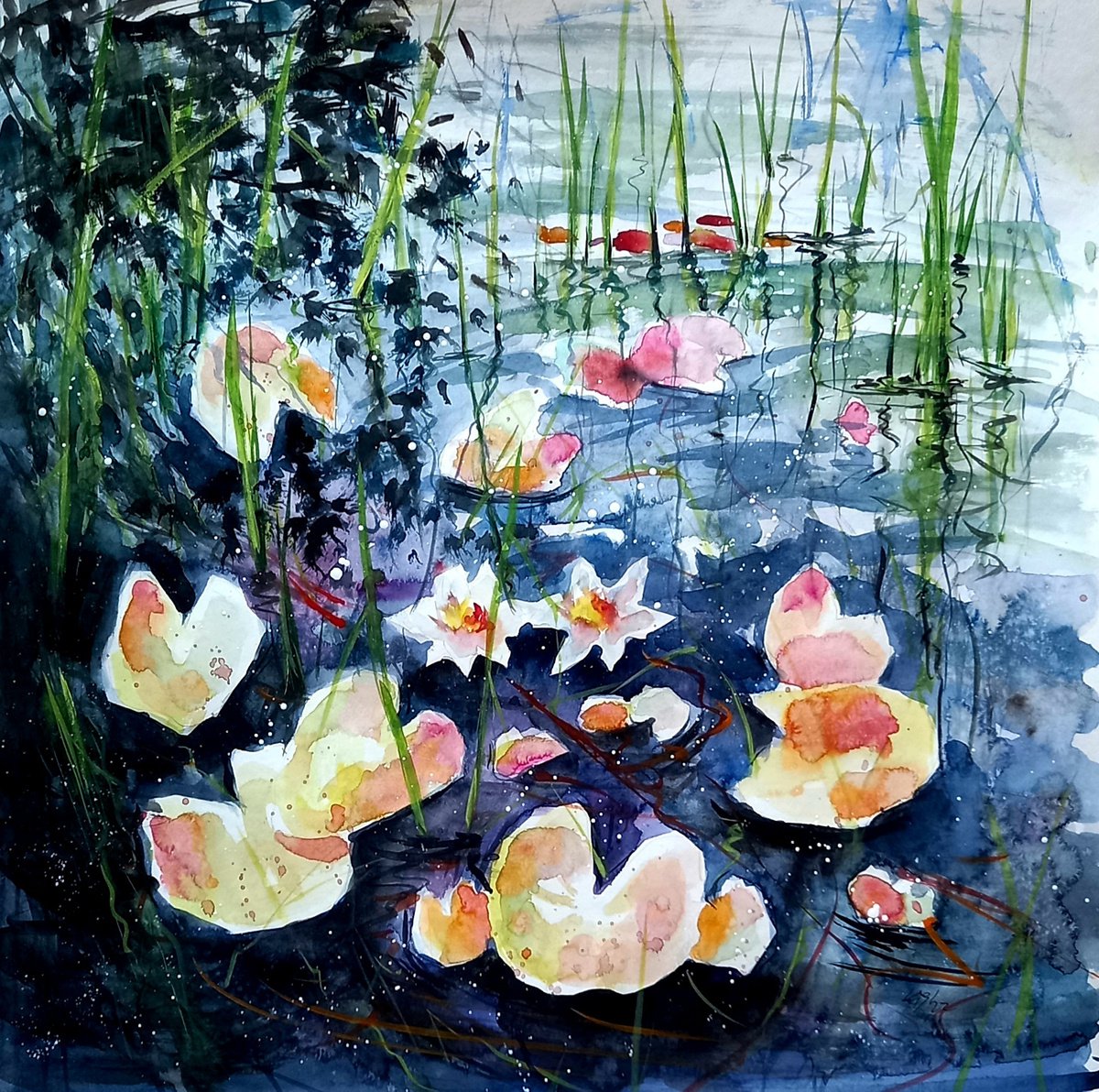 Water lilies III by Kovacs Anna Brigitta