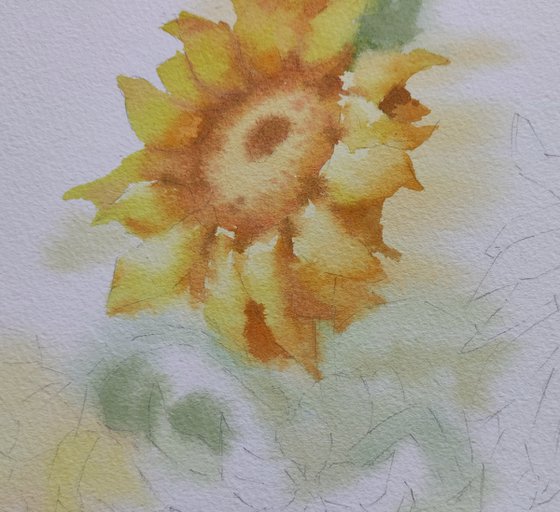 Ukrainian Sunflower